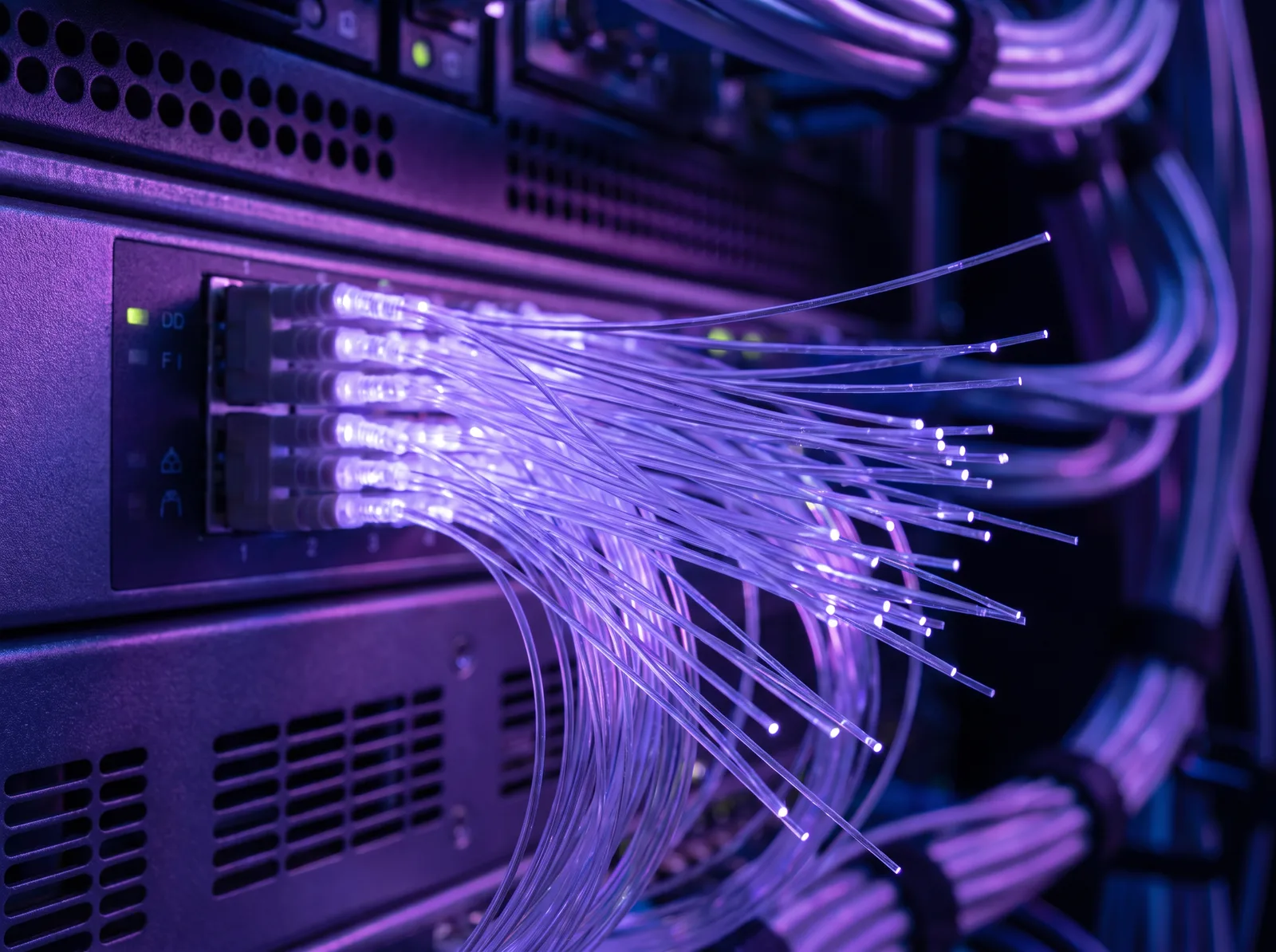 Macro photograph of illuminated violet fiber optic cables in server rack hardware